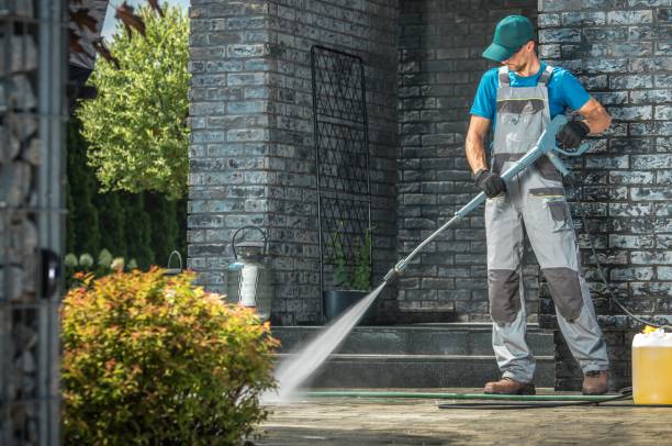 Best Animal Enclosure Cleaning  in Massanetta Springs, VA